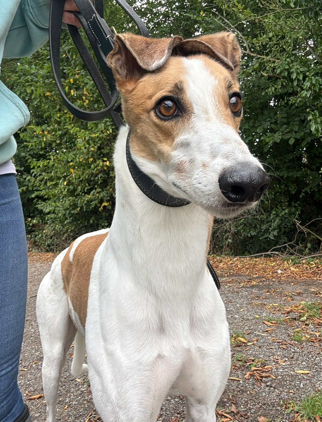 0ee01602-db6b-4e14-9998-9fce19d439b9