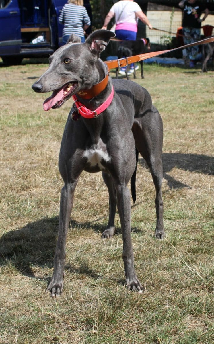 2cb86f00-887d-40a0-ac74-1ce28a7306ce