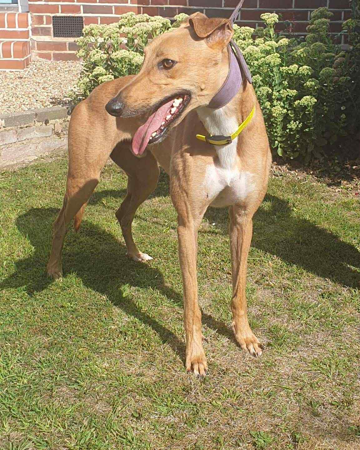 ad17d1f4-add9-4d08-9a37-a60bd449c2f8